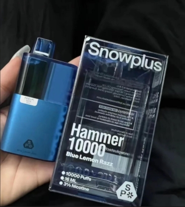 续航之王--雪加大板砖
