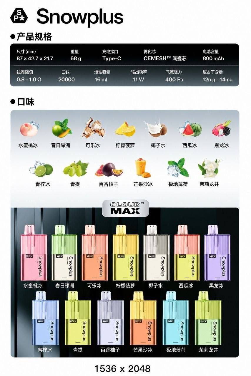 雪加大板砖 20000 口：长续航一次性雾化器的代表作