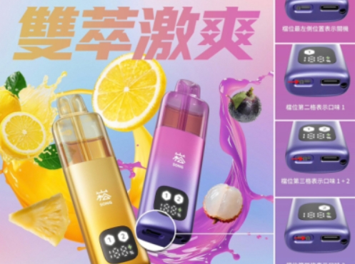 双仓设计，激爽一夏——崧A66